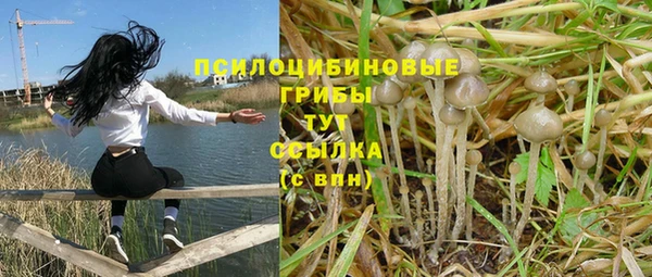 трава Алексин