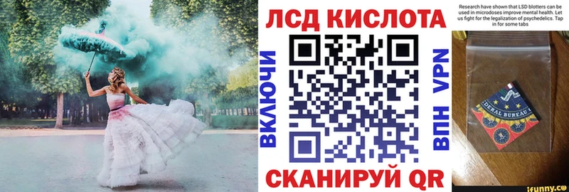 Марки NBOMe 1500мкг как найти Закаменск